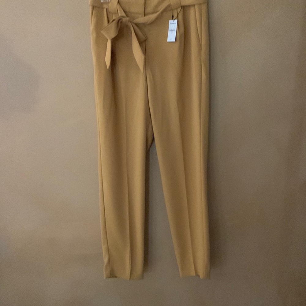 Express dress slacks